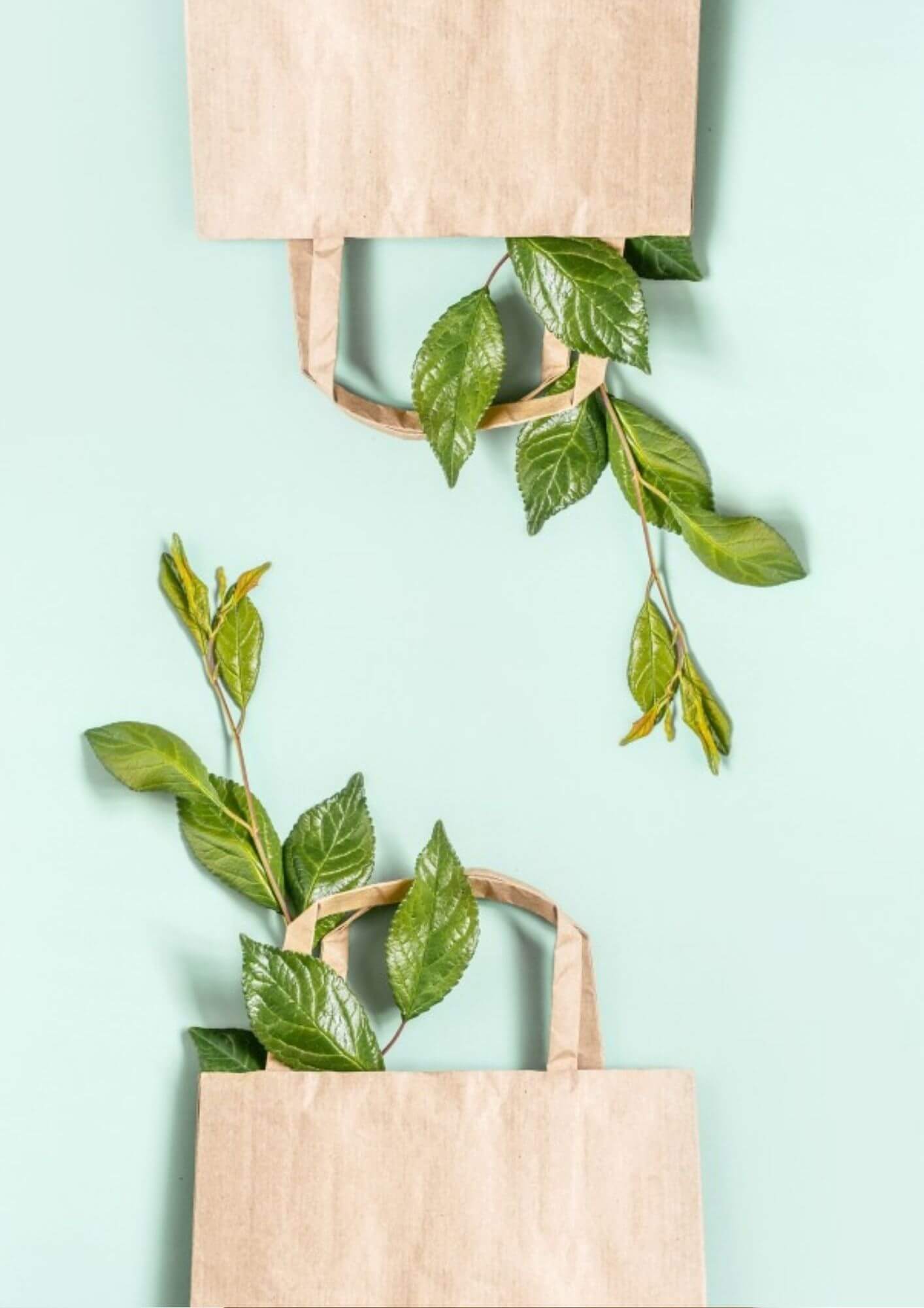 A brown kraft paper bag with flat handle with a plant creeping through it